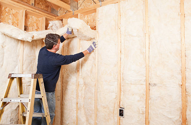 Reliable La Plata, MD Insulation Services Solutions